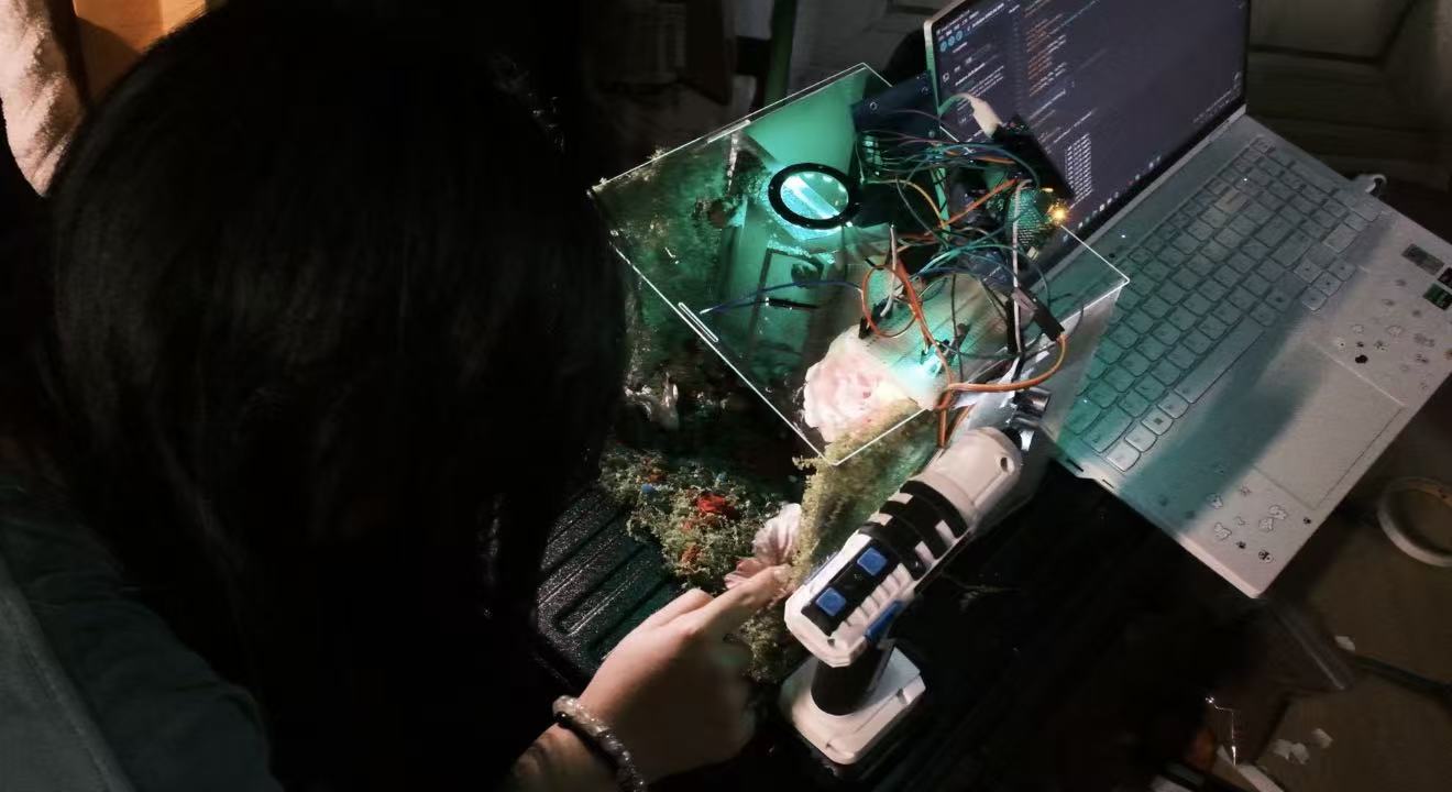 交互设计作品1